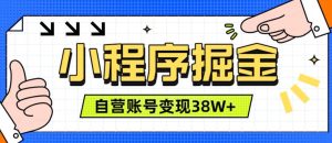 微信小程序掘金,团队自营小程序累计变现38W+,稳定运营三年,一部手机即可操作【揭秘】-稀缺资源库