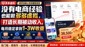 没有电商经验也能做多多虚拟,打造长期被动收入,每月稳定拿到1-3W收益【揭秘】-稀缺资源库