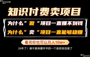 普通人为什么能够靠卖项目轻松月入10W+,而做项目却容易成炮灰,卖项目为什么能够稳賺不赔?【揭秘】-稀缺资源库