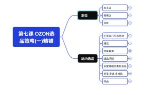 2026最新OZON全流程运营实操跨境电商平台教程,OZON全流程一站式系统学习必修课,从开店到跟卖到精铺-稀缺资源库