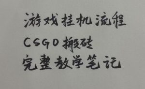 游戏挂G全流程笔记分享,CSGO游戏搬砖,小白看了当天学会见收益【揭秘】-稀缺资源库