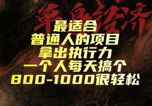 最适合普通人的项目，拿出执行力一个人每天搞个800-1k很轻松【揭秘】-稀缺资源库