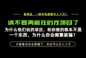 为什么做项目的人大多都是炮灰?为什么只有卖项目才能稳?看完你也可以月入10W+【揭秘】-稀缺资源库