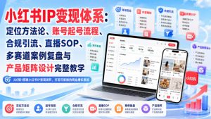 小红书IP变现体系：定位方法论、账号起号流程、合规引流、直播SOP、多赛道案例复盘与产品矩阵设计完整教学-稀缺资源库