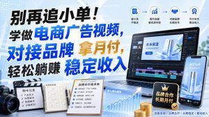 别再追小单！学做电商广告视频，对接品牌拿月付，轻松躺賺稳定收入【原创双语字幕】-稀缺资源库