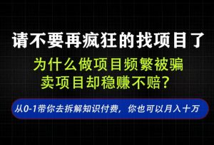 找项目？别傻了！卖项目才是真的一本万利！看完你全都懂了【揭秘】-稀缺资源库