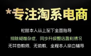 松鼠会电商VIP课程,从基础布局到高阶优化,助你掌握淘宝运营逻辑,提升店铺流量与转化(更新0823)-稀缺资源库