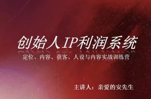 创始人IP利润系统8月训练营,定位、内容、获客、人设与内容实战训练营-稀缺资源库