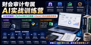 财会审计专属AI实战训练营|AI协同编程+Python审计工具箱+Excel VBA加载项落地(更新0816)-稀缺资源库