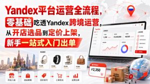 Yandex平台运营全流程,零基础吃透Yandex跨境运营,从开店选品到定价上架,新手一站式入门出单-稀缺资源库