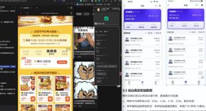 【直播课】原创思路打豆包项目,全是独家思路分析-稀缺资源库