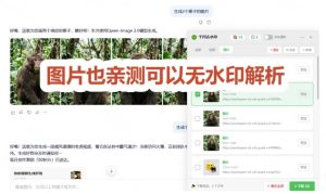 太香了!这款千问视频/图片去水印神器,一键搞定烦人水印,本地完全免费,浏览器拓展插件-稀缺资源库