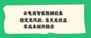 云电商智能数据收集，稳定无风控，当天做当天见收益，零成本矩阵操作【揭秘】-稀缺资源库