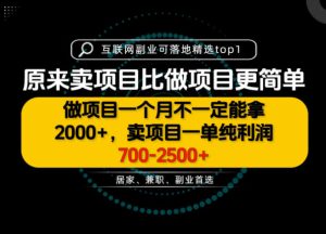 一单利润700-2.5K+,为什么我们要卖项目而不是做项目,我们普通人应该怎样开始?【揭秘】-稀缺资源库
