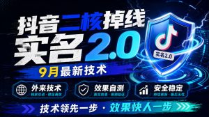 抖音二核掉线十名2.0，9月最新技术，外来技术，效果自测-稀缺资源库