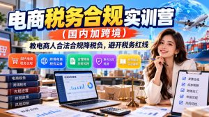电商税务合规实训营（国内加跨境），教电商人合法合规降税负，避开税务红线-稀缺资源库