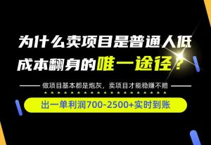 普通人如何靠互联网賺取自己的第一桶金！全类目实操型教学，看完你全都懂了！【揭秘】-稀缺资源库