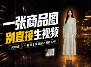 女装AI视频总翻车？问题不在提示词，女装展示视频Skill先锁定5个变量！-稀缺资源库