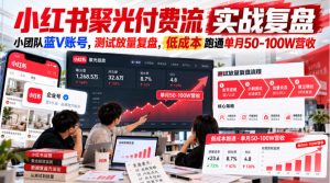 小红书聚光付费流实战复盘|小团队蓝V账号,测试放量复盘,低成本跑通单月50‑100W营收【文档】-稀缺资源库