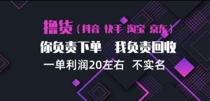 抖音淘宝快手买手项目,一单利润20左右,单号每天下三单,可矩阵【揭秘】-稀缺资源库