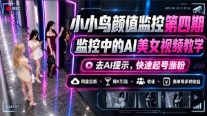 小小鸟颜值监控第四期,监控中的AI美女视频教学,去AI提示,快速起号涨粉,网盘拉新+商K引流+收徒+商单等多种收益-稀缺资源库