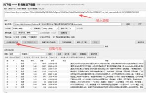 抖音批量视频下载工具,一键下载高清无水印视频,到手就能用-稀缺资源库