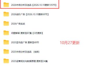 2026亚马逊视频教程,学习我们的商业模式,以及2026最新的选品及运营经验(更新1027)-稀缺资源库