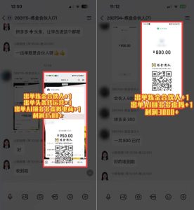 日入3k+的互联网项目,网红的尽头是带货,网创的尽头一定是知识付费卖项目【揭秘】-稀缺资源库