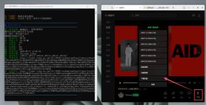 Github热门工具,视频号下载神器又来了!一键注入下载按钮,轻松下载,使用便捷wx_channel-稀缺资源库